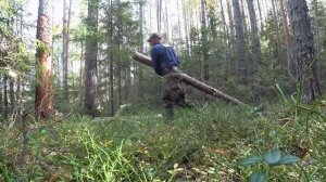 Мини-бензопила с шиной 30 см для пеших походов. Бензопи?