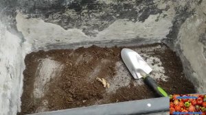 Грунт из Светофора ! Стоит ли покупать ? #светофор#грун?