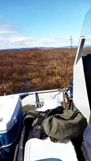 Отзыв на аэролодку Нерпа. Приморский край