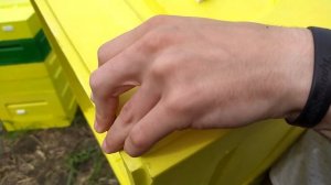 Сравнительный обзор | Улей "Лысонь" ППС | Улей "Медведь"