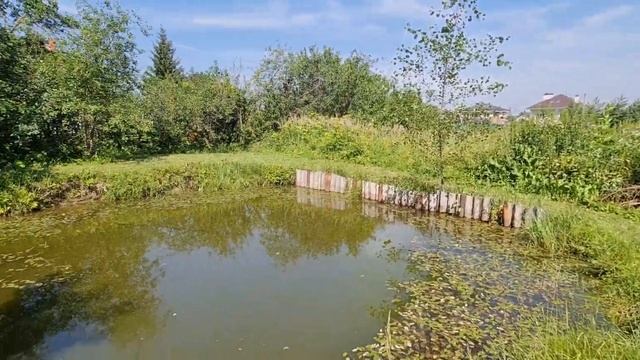 Лёгкий, аккумуляторный тример! Идеально для женщины! смотреть онлайн