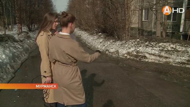 Весенние «мины», или Сиреневая аллея превратилась в б?