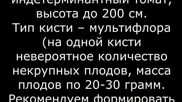 Томат Сумасшедшие вишни барри полное описание сорта и