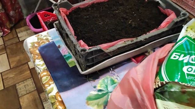 ПОДГОТОВКА ГРУНТА для РАССАДЫ 2023! Секреты лунных суто? смотреть онлайн