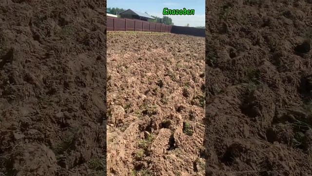 Рабочий день тракториста в жару +31! Планировка участк? смотреть онлайн