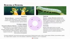 Лунтик и его друзья