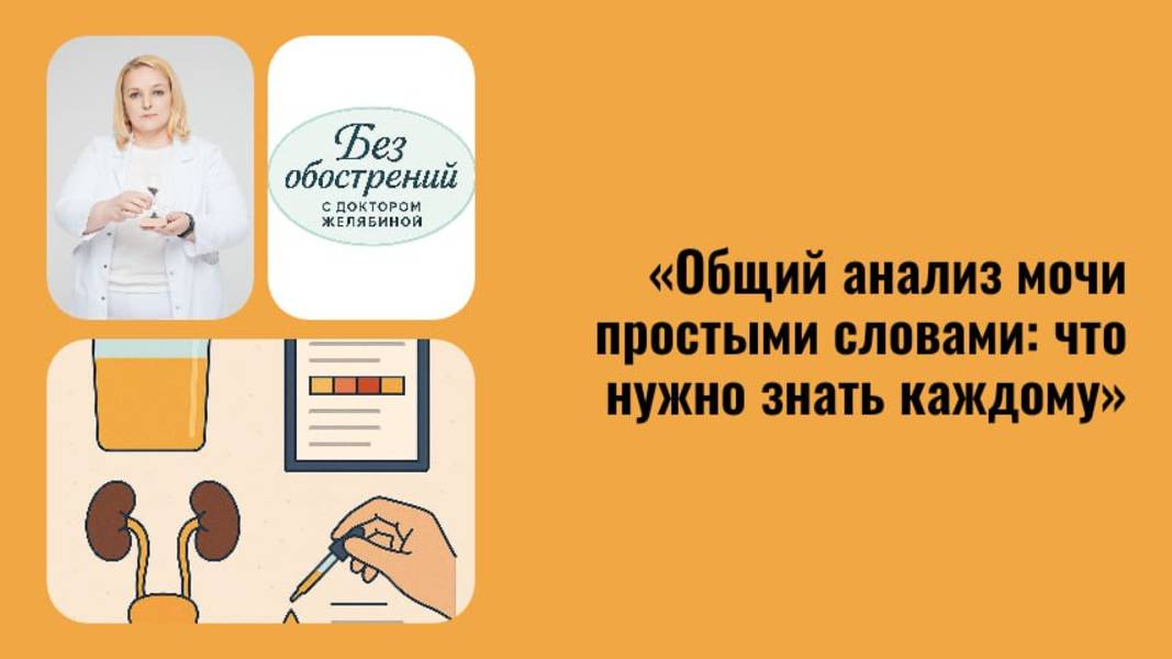 Общий анализ мочи. Что важно знать смотреть онлайн
