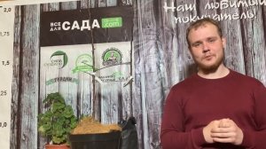 СОРТ ЯБЛОНИ МЕДУНИЦА ОПИСАНИЕ И ХАРАКТЕРИСТИКА