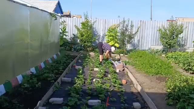 23августа. Не могу есть на камеру! Могу работать. Уже вы? смотреть онлайн