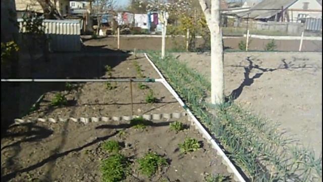 «ПЕРЕХОДИМ В 2020 НА КАПЕЛЬНЫЙ ПОЛИВ» смотреть онлайн