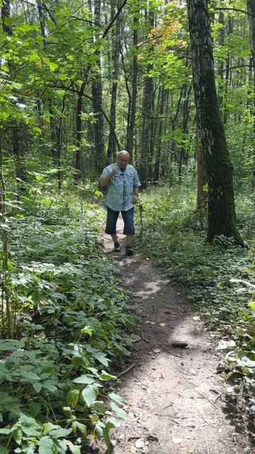 Еда для комаров смотреть онлайн