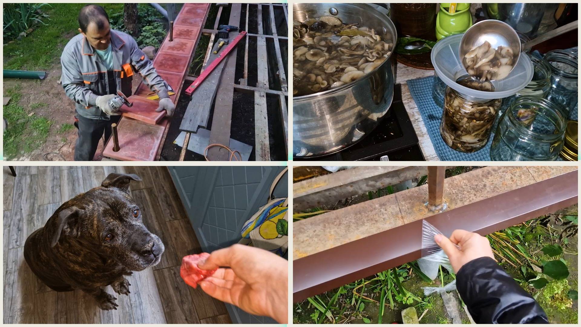 Строим веранду отлив и подгонка плитки. Все зажрались! Заготавливаю опята и ливер собаке. смотреть онлайн