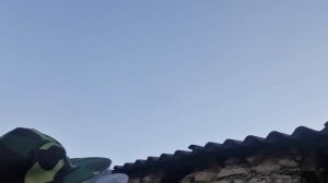 Обработка пчел апистанзолом аэрозоль от клеща варроа,