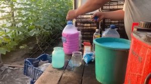 Медный купорос в комплексе для томатов