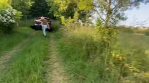 Как поймать рой пчел. 8 рой в этом году 2025.