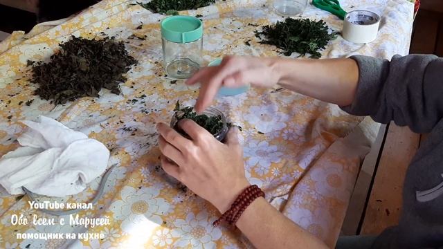 ЗАГОТОВКА ЧАЯ МОЛОДОЙ РОСТОК ВИШНЯ ЧЕРЕМУХА СМОРОДИН? смотреть онлайн