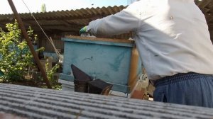 Улей Озерова  Расширение и борьба с роением