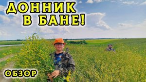 Неожиданное применение бани! Сушим донник и другие травы в бане-бочке — экологично и удобно