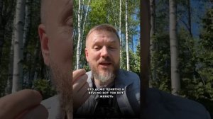 молодые побеги сосны 1 часть польза и как собирать