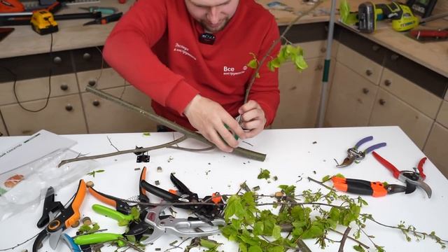 Садовые, обрезные инструменты #сад #дача #дом смотреть онлайн