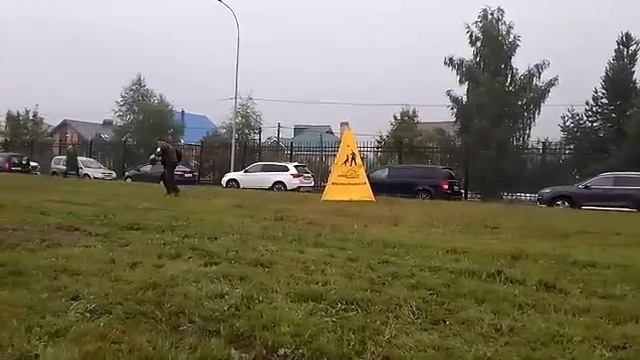 2 Отл. СС Star Winner DZHEKSON +++ №12