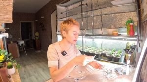 ГДЕ ЗАКАЗАТЬ ПРОФЕССИОНАЛЬНЫЕ СЕМЕНА ОВОЩЕЙ И ЦВЕТОВ