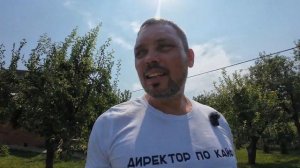 Борьба с енотами на даче.  Переделка дровника (начало) -