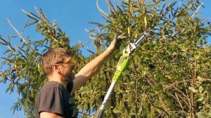 СУЧКОрез ВЫСОТОрез садовый для ухода за садом GreenWorks