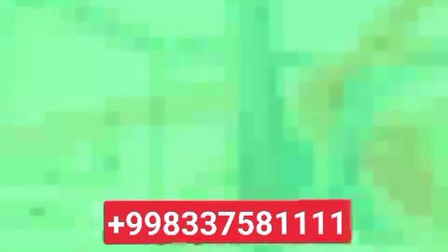 Шотут сиркасининг шифобахш хосиятлари(Ogohlantirish Mahsulotni Ko