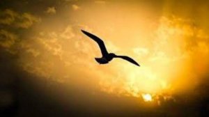 Распознавание руководства Божия. Вебинар по книге Д. Лонсдейла “Слушая музыку Духа”.