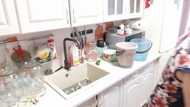 Хроника дня//заготавливаю вкусный чай//ОГУРЦЫ как бочк смотреть онлайн