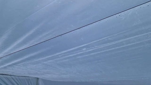 Убираем конденсат в теплице. Как я поливаю лимоны зимо смотреть онлайн