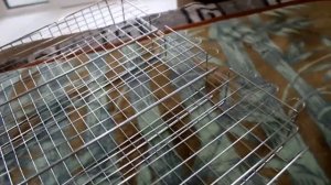 КАК ПРАВИЛЬНО ВЫБРАТЬ РЕШЕТКУ ДЛЯ ГРИЛЯ #будьмужиком ?