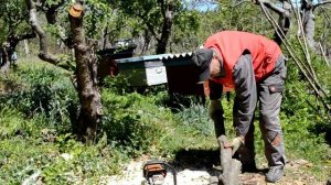 Почему бензопила заводится и глохнет #shorts