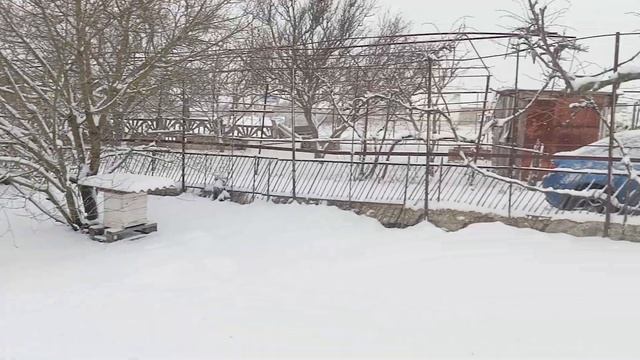 Наша точка на рынке временно закрыта.Меда осталось ма? смотреть онлайн