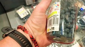 Почему в Польше такая вкусная голубика (Borówka amerykańska). К