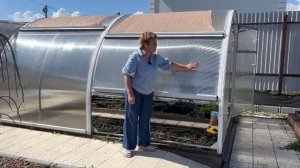 Обзор теплицы ТЮЛЬПАН АНТИШТОРМ на 3-й год использован