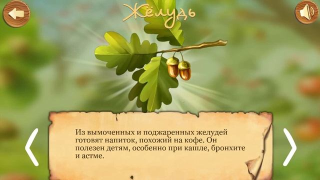 Познавательное видео Мультик - Что растет в лесу