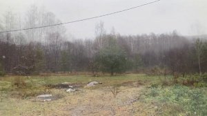 Размножение яблони воздушным отводком