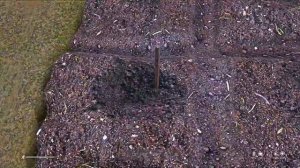 Как вырастить канабис в Dayz.