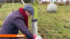 БИНТ ДЛЯ ДЕРЕВЬЕВ  от морозобоин и ожогов на коре