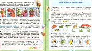 Как живут растения? Окружающий мир. 1 класс, 1 часть. Уче