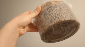 посадка сморчков