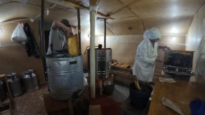 Откачка мёда на пасеке. Медокачка 2025