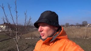 Грядка Хольцера.  Овощи растут как на дрожжах, посадил