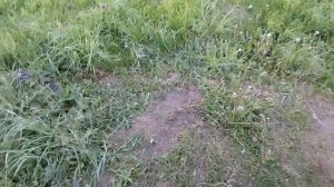 Husqvarna 125R / Ремонт окончен.... Надеюсь😳
