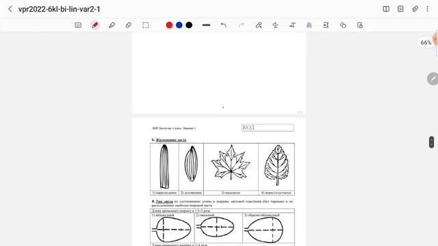 ВПР по биологии 6 класс(Лин.программа)