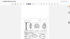 ВПР по биологии 6 класс(Лин.программа)
