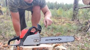 Пилим дерево и тестируем бензопилу Интерскол ПЦБ 180-16
