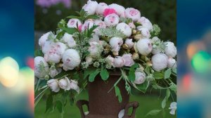 Роза Герцогиня Кристиана